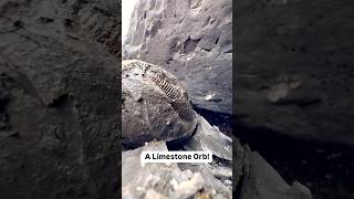 We Found A Fossil Inside A Limestone ORB [upl. by Nannerb]