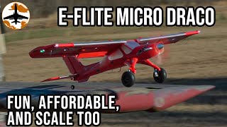 Good Things Come in Small Packages  Eflite Micro Draco 800mm [upl. by Ennaehr]