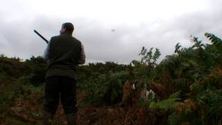 Wynnstay Partridge 24th Sept 2011 [upl. by Ganiats648]