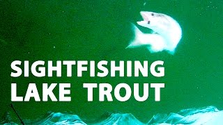 Sightfishing Lake Trout in 27 feet  CLEARwater Lake Manitoba [upl. by Mervin175]