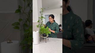 🪴How I take care of pothos plant minivlog308shortsdailydailyvloghomeviraltrendingdimlvlog [upl. by Madelle]