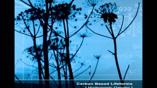 Carbon Based Lifeforms  Hydroponic Garden Full Reissued Album [upl. by Kiona160]