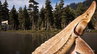 Far Cry 5  Fishing Pallid Sturgeon  Open World Free Roam Gameplay PC HD 1080p60FPS [upl. by Raddatz]