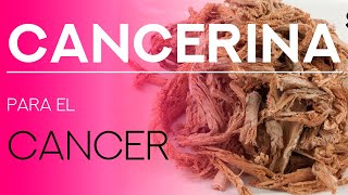 CANCERINA para que sirve 😲 PROPIEDADES BENEFICIOS  Para el CANCER y QUISTES [upl. by Ilak]