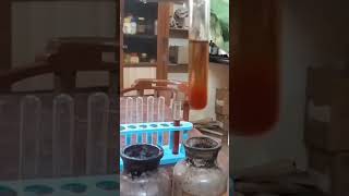 Neutral Ferric Chloride test of Aniline [upl. by Asennav]