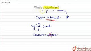 What is cryptorchidism [upl. by Yllaw]