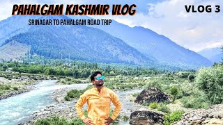 Srinagar to Pahalgam Kashmir by Road  Srinagar to Pahalgam Tour amp Sightseeing  KASHMIR TRAVEL VLOG [upl. by Eveiveneg162]