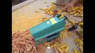 corn seed remover machine [upl. by Hanford]