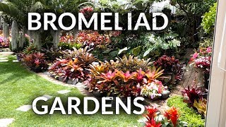 BROMELIAD GARDENS [upl. by Keelby]