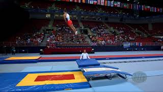 CARVALHO COSTA Diogo POR  2017 Trampoline Worlds Sofia BUL  Qualification Double Mini Routin [upl. by Ranique588]