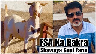 FSA Entertainment Ka Bakra  Bought From Shawaya Goat Farm [upl. by Enilra]