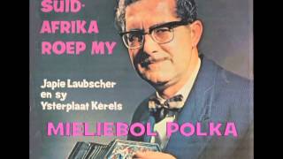 BoeremusiekJapie LaubscherMieliebol Polka [upl. by Naz]