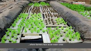 Aquaponics एक्वापॉनिक्स can be a profitable agriculture खेती technique for Indian farmers [upl. by Killam]