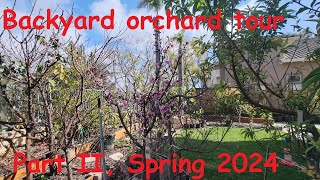 Backyard orchard tour Part II Spring 2024 [upl. by O'Driscoll]