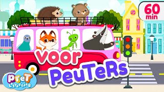 Voertuigen Dierengeluiden Boerderijdieren amp meer Pretlettertjes Kinderfilmpjes [upl. by Gerstner6]