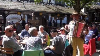 Schweizer Gäste singen quotKufsteinliedquot  BEIM LINDENWIRT  Drosselgasse [upl. by Eelak]