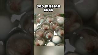 Animals that lay more than  100 million Eggs animalsfacts animals fringfacts [upl. by Llehsem]