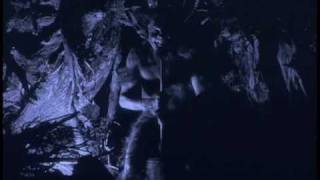 Arcane Malevolence  Haxan Official Video [upl. by Donal]