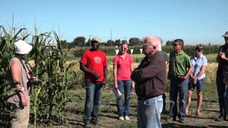 Fusarium Head Blight Cereal Disease and Dryland Grain Corn Disease Crop Walk  Farming Smarter [upl. by Piks239]