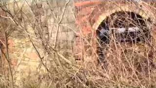 Abandoned Hester Brinkerton Coke ovens West Moreland County [upl. by Lupiv]