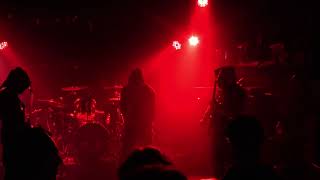 Decimation Hammer  Live at Valhalla Wellington 15 09 2024 [upl. by Eitsim974]