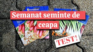 Semanat seminte de ceapa🧅 Helga AndTheWorld [upl. by Ecreip]