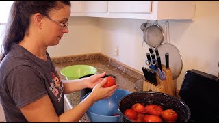 Preserve the Harvest Canning Diced Tomatoes [upl. by Jochbed]