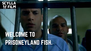 Welcome to Prisoneyland Fish  Prison Break S01E01 [upl. by Kendall]