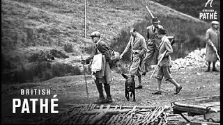 Opening Of The Grouse Shooting In Dumfriesshire 1937 [upl. by Ades233]