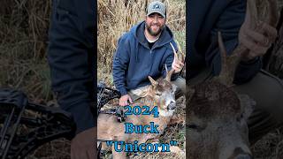 INSANE 2024 Archery Season Recap bowhunting archery whitetaildeerhunting [upl. by Aihseyt]