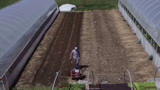 Bed Preparation In The Market Garden [upl. by Nicoline]