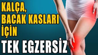 KALÇA BACAK KASLARI İÇİN TEK EGZERSİZ aktifizyo fiziktedavi dizağrısı [upl. by Harihs]