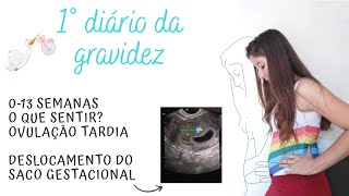 DIÁRIO DE GRAVIDEZ 1 A 3 MESES  Deslocamento do saco gestacional enjoos e mais [upl. by Halimeda149]