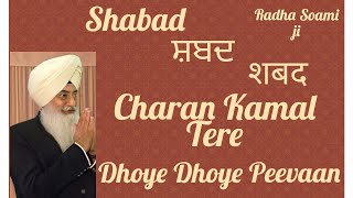 Shabad Bani Guru Arjan Dev ji Charan Kamal Tere Dhoye Dhoye Peevaan ਚਰਣ ਕਮਲ ਤੇਰੇ ਢੋਏ ਢੋਏ ਪੀਵਾਂ [upl. by Akered]