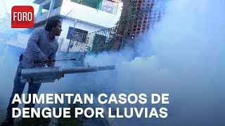 Se disparan casos de dengue en Yucatán por últimas lluvias  Las Noticias [upl. by Oniuqa962]