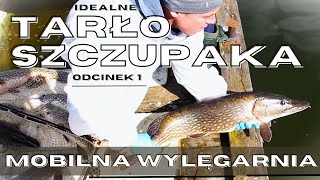 Idealne TARŁO SZCZUPAKA Mobilna wylęgarnia Odc 1 [upl. by Ydnil]