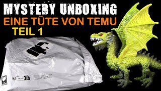 Mystery Unboxing  eine Tüte von Temu  Juni 2024  Teil 1 von 2  Danke Less [upl. by Moyers958]