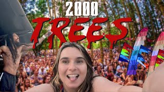 FIRST TIME AT 2000Trees Music Festival  2024 [upl. by Nealey]