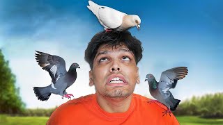 PIGEON PRANK ON BEST FRIEND [upl. by Idnod]