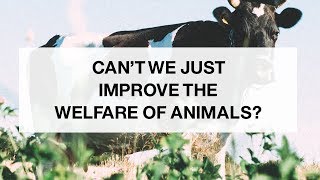 Cant We Just Improve the Welfare of Animals [upl. by Stedt]