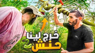 تحدي من أجل البقاء  بغينا ندوزو 24 ساعة وسط لغابة ولكن خرجو لينا لحناش [upl. by Blayze]