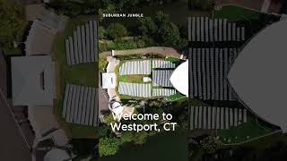 Living in Westport CT [upl. by Ewall647]