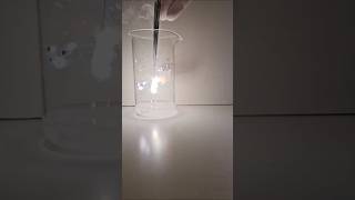 Magnesium burning in CO2 educational experiment chemistry science [upl. by Dygall]