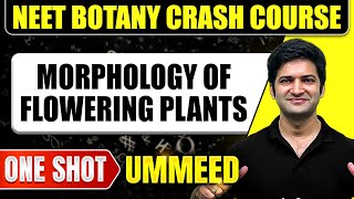 MORPHOLOGY OF FLOWERING PLANTS in 1 Shot All Concepts Tricks amp PYQs  NEET Crash Course  Ummeed [upl. by Oetsira153]