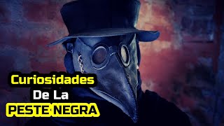 CURIOSIDADES de la PESTE NEGRA  Peste Negra datos curiosos [upl. by Mailliwnhoj220]