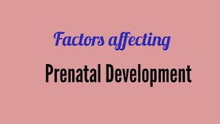 Factors Affecting Prenatal Development [upl. by Aleehs]