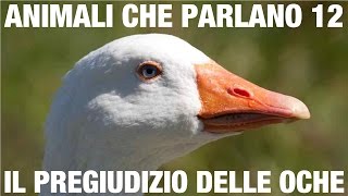 ANIMALI CHE PARLANO – Il pregiudizio delle oche [upl. by Anse]