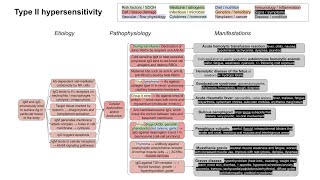 Type II hypersensitivity mechanism of disease with examples [upl. by Anirbas872]