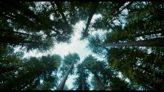 The Tree Of Life  trailer B 2011 Brad Pitt Sean Penn [upl. by Bernhard781]