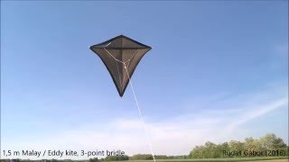 Modified 15 m Malay  Eddy kite [upl. by Retepnhoj]